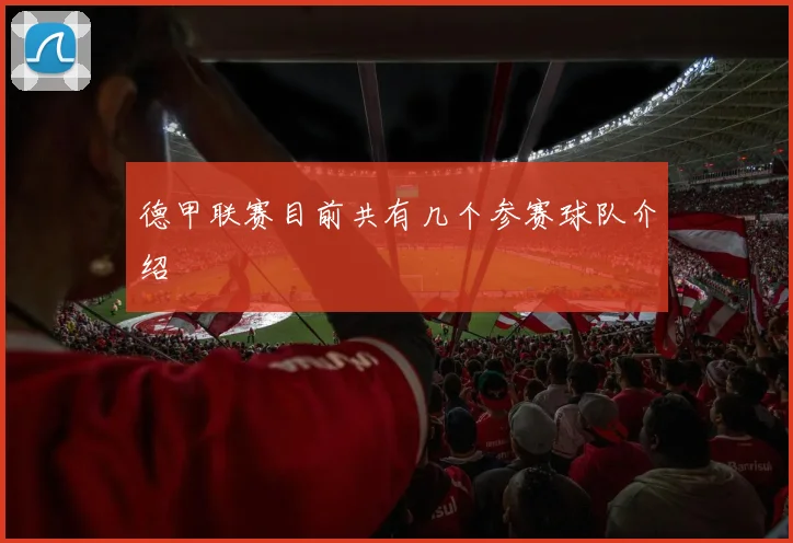 德甲联赛目前共有几个参赛球队介绍