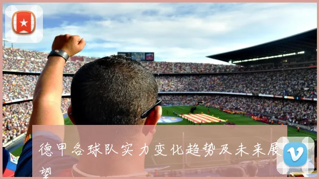 德甲各球队实力变化趋势及未来展望