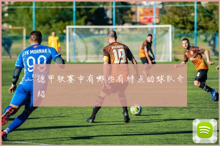 德甲联赛中有哪些有特点的球队介绍