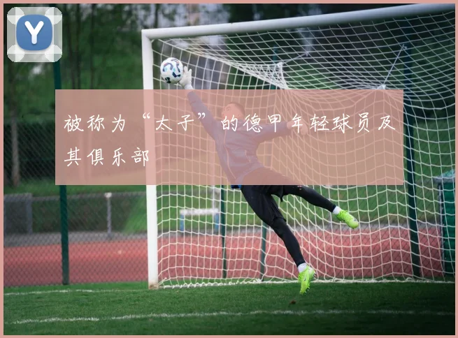 被称为“太子”的德甲年轻球员及其俱乐部