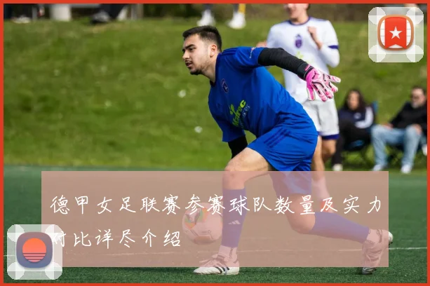 德甲女足联赛参赛球队数量及实力对比详尽介绍
