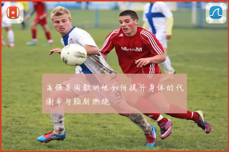 高强度间歇训练如何提升身体的代谢率与脂肪燃烧