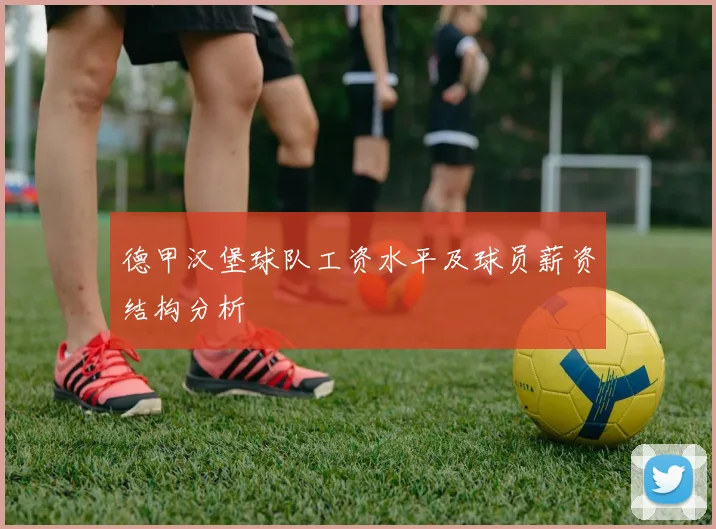 德甲汉堡球队工资水平及球员薪资结构分析